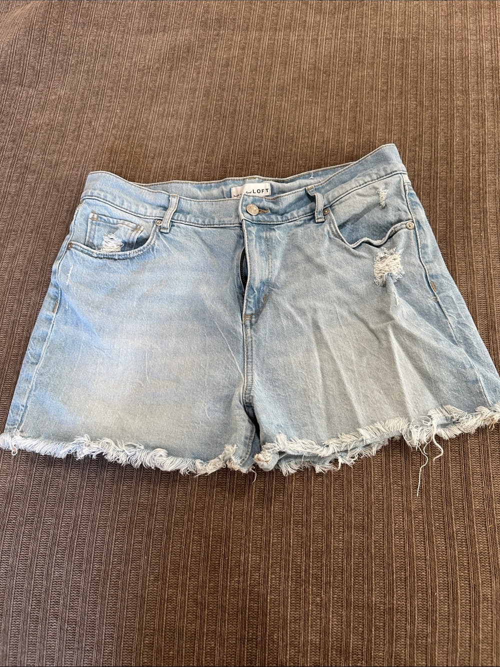 LOFT Light Wash Frayed Denim Jean Shorts